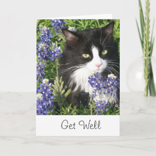 Get Well Card Tuxedo Cat in Texas Bluebonnet Karte
