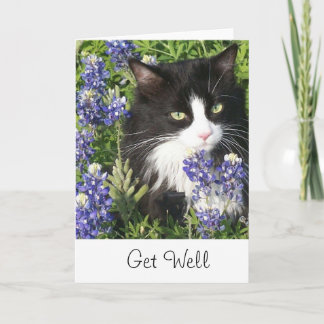 Get Well Card Tuxedo Cat in Texas Bluebonnet Karte