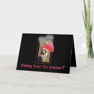 "Get Well" Card W/Basset Hound, Rain & Umbrella Karte