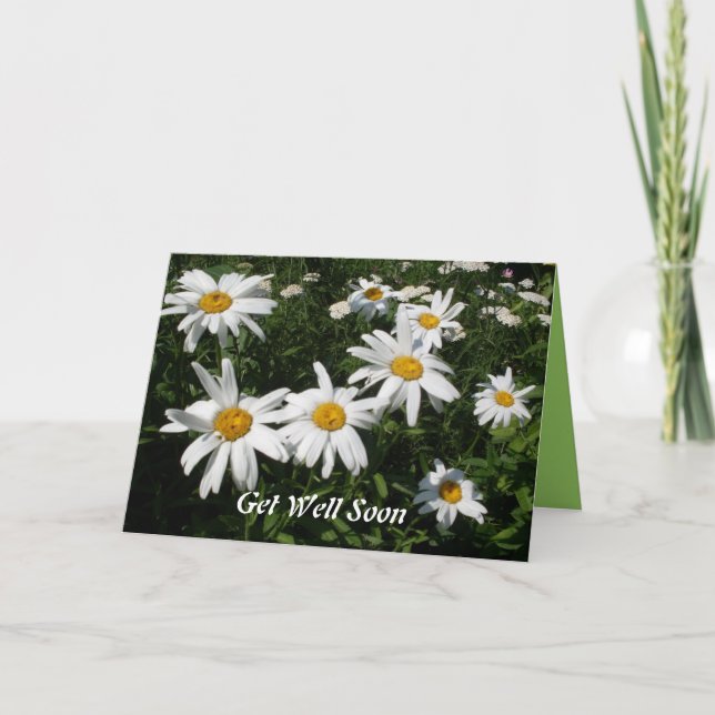 Get Well Daisies Card Karte (Vorderseite)