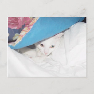 Get Well Postcard Postkarte