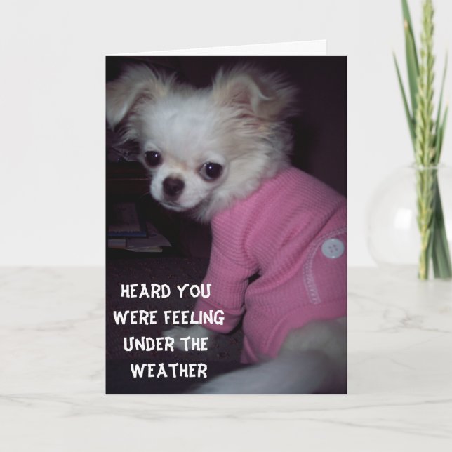 Get Well Puppy Card Karte (Vorderseite)