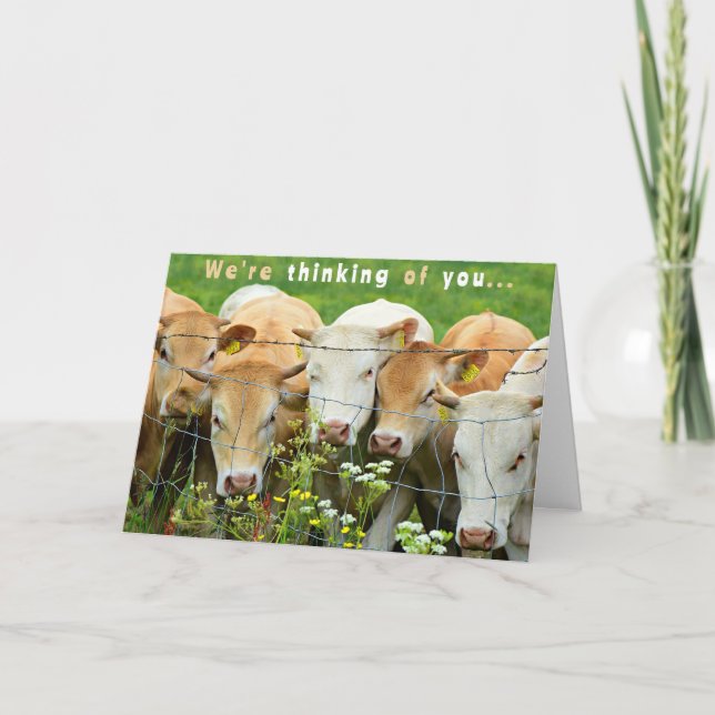 Get Well Soon  Ranch Farm Cattle Country Flowers Karte (Vorderseite)