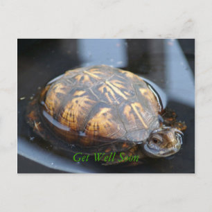 Get well soon turtle Postcard Postkarte