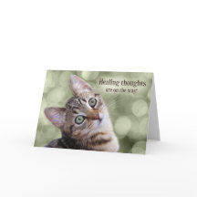 Get Well Tabby Kitten mit Green Bokeh