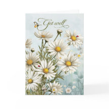 Get Well White Daisy Garden with Butterflies