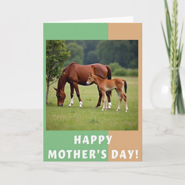 Geteilte Border Equine Karte (Vorderseite)