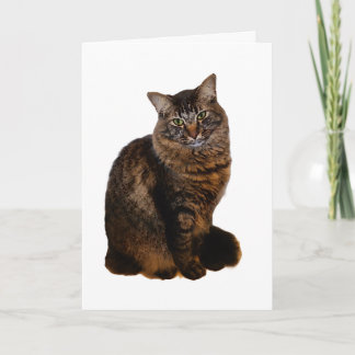 Getigert Katzenkarte - leer im Inneren Karte