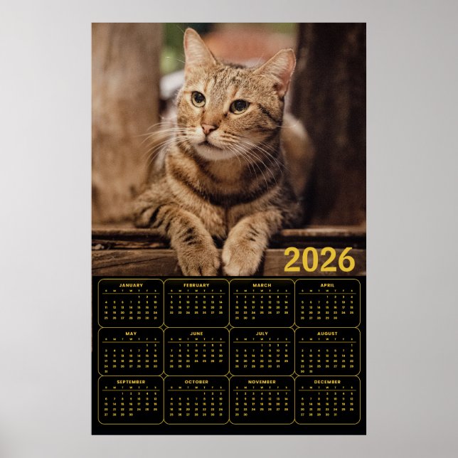 Getigerte Katze 2026 Kalender Poster (Vorne)