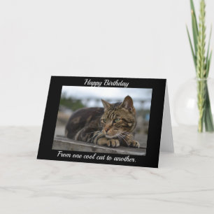 Getigerte Katze bereit für Aktion Karte