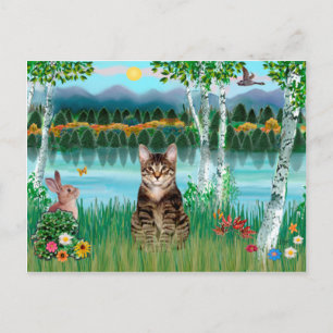 Getigerte Katze - Birken Postkarte