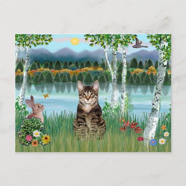 Getigerte Katze - Birken Postkarte (Vorderseite)