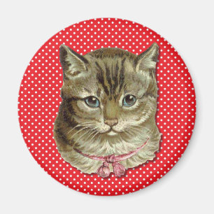 Getigerte Katze Magnet