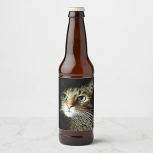 Getigerte Katze mit grünen Augen isoliert auf Schw Bierflaschenetikett