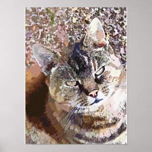GETIGERTE KATZE POSTER