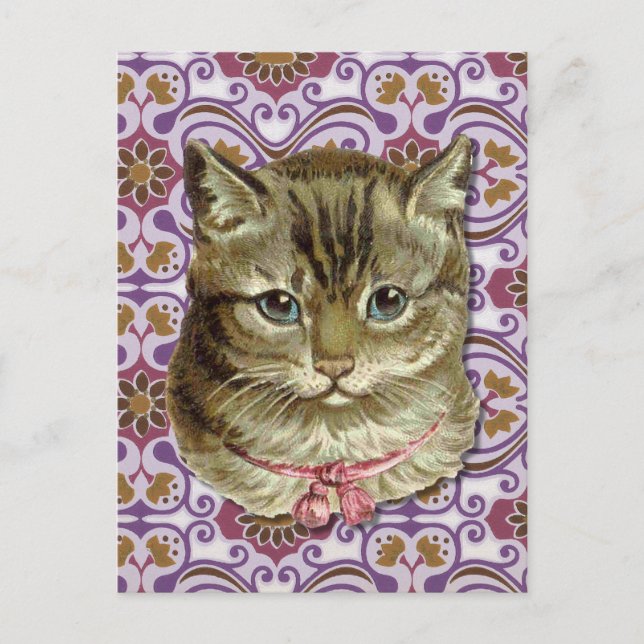 Getigerte Katze Postkarte (Vorderseite)