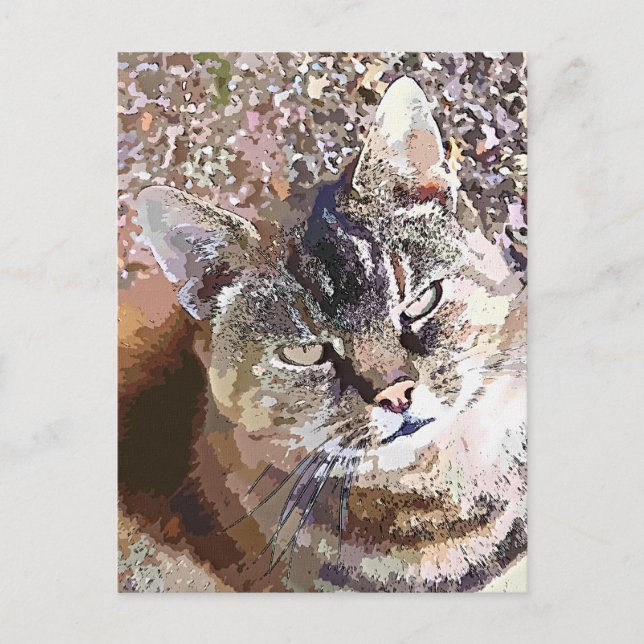 GETIGERTE KATZE POSTKARTE (Vorderseite)