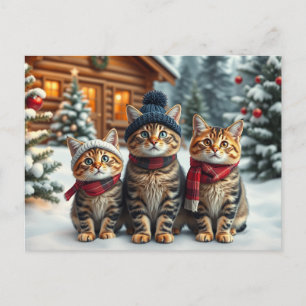 Getigerte Katzen in präparierter Winterkleidung un Feiertagspostkarte