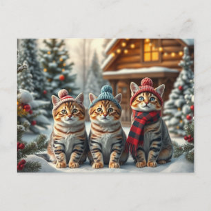 Getigerte Katzen in präparierter Winterkleidung un Feiertagspostkarte
