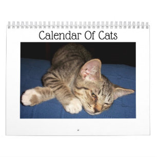 Getigerte Katzen Kalender