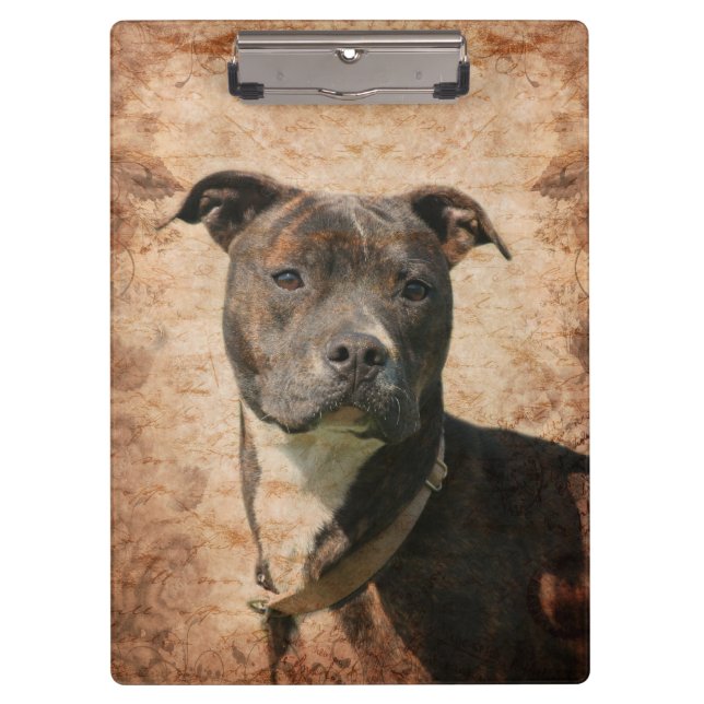 Getigerter Pitbull Klemmbrett (Vorderseite)
