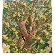 Getigertes Katze in einem blühenden Plumeria-Dusch