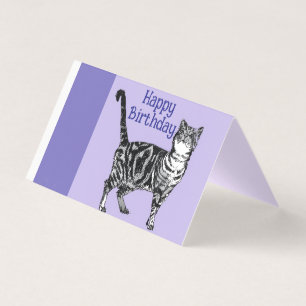 Getigertes Katzen Katzen Lila Haustier Mädchen Nam