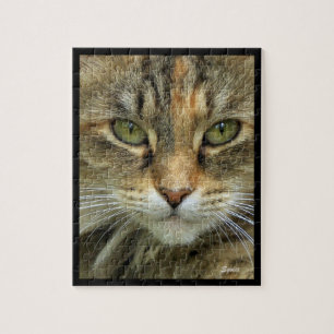 Getigertes Katzenportrait Puzzle
