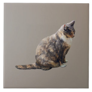 Getigete Katze in Brauntönen Fliese