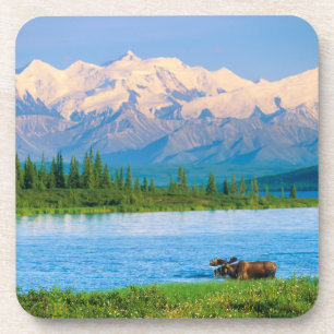  GETRÄNKEUNTERSETZER