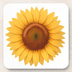 Getränkuntersetzer - Sonnenblume Getränkeuntersetzer