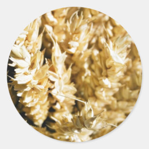 Getreide-Pflanze-Saatgut Runder Aufkleber