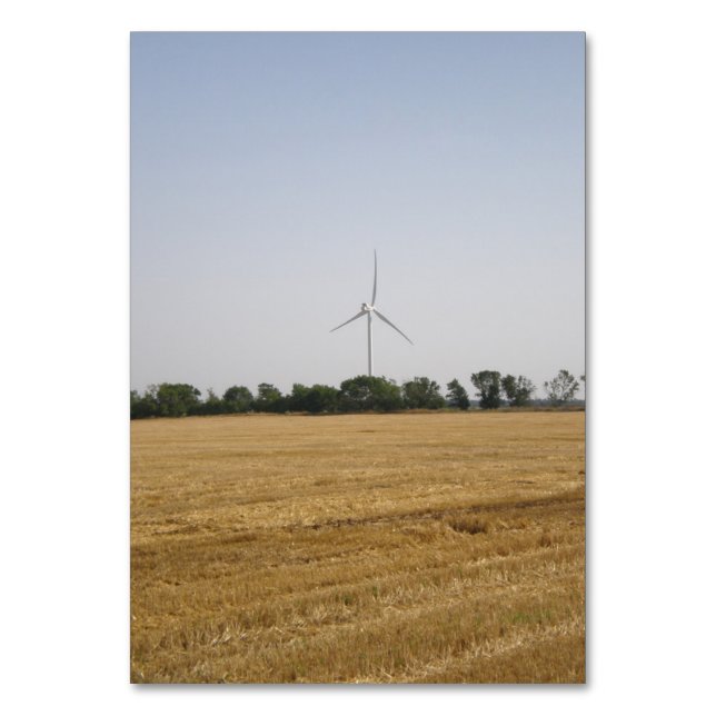 Getreidefeld auf dem Windpark Tischnummer (Vorderseite)