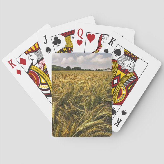 Getreidefeld Spielkarten (Rückseite)