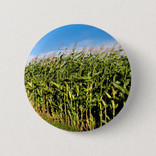 Getreidefeld und Himmel Button