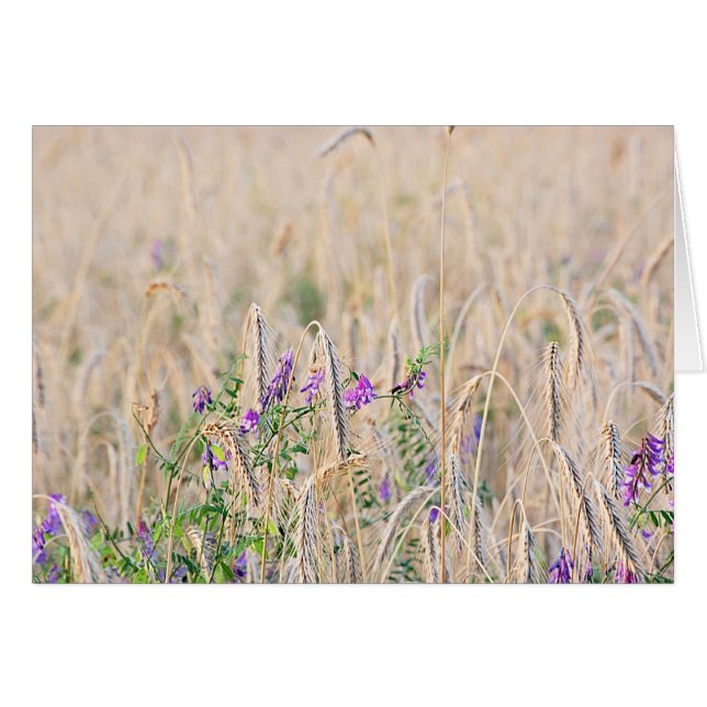 Getreidekarte (Vorderseite (Horizontal))