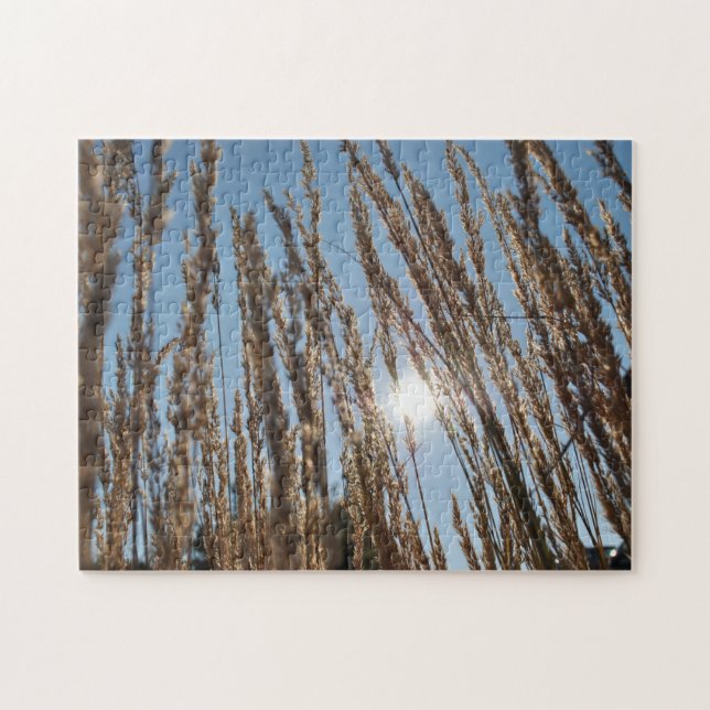 Getreidemais Feldernte Sonne Schönes Foto Puzzle (Horizontal)