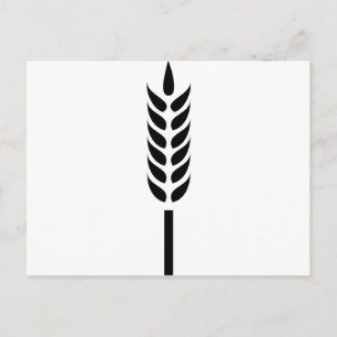 Getreidespitzen Postkarte