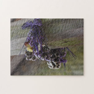 Getrocknete Blume auf einem Foto aus Holz Puzzle
