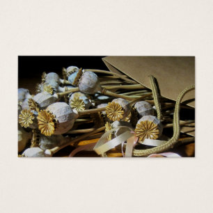 Getrocknete Blumen-Mohnblumen-Hülsen