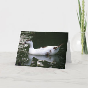 Getrocknete Duck-Grußkarte Karte