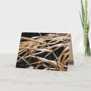 Getrocknete Gräser Karte