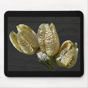 Getrocknete Lily Seed Pods Mousepad