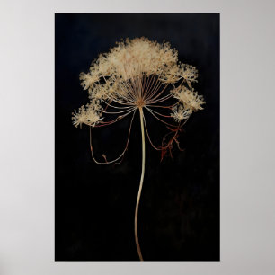 Getrocknete Queen's Lace Blume Dark Academia, Dunk Poster