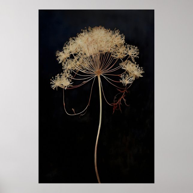 Getrocknete Queen's Lace Blume Dark Academia, Dunk Poster (Vorne)