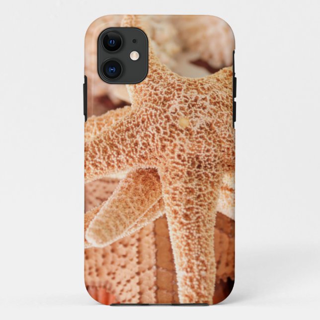 Getrocknete Seesterne als Souvenirs verkauft 2 Case-Mate iPhone Hülle (Rückseite)