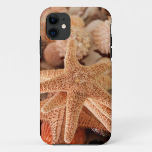 Getrocknete Seesterne als Souvenirs verkauft iPhone 11 Hülle