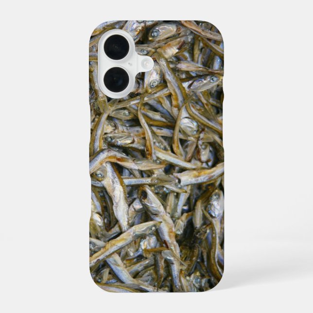 getrockneter Fisch 3 iPhone 16 Hülle (Rückseite)
