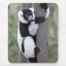 Getrumpfter Schwarzweiss-lemur auf Baum Mousepad