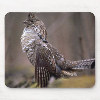 Getrumpftes Waldhuhn Mousepad
